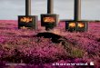 Charnwood UKlow resdirect-coal.co.uk/wp-content/.../brochures/charnwood/Charnwood-sto… · contemporary wood burning stove from Charnwood. Three gently curved glass panels offer
