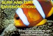 SURF AND TURF: ENVENOMATIONS - ACMT · Chironex fleckeri venom. Carrette TJ et al: Med J Australia 2002;177:654-655. Jellyfish Stings. Treatment 