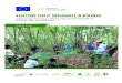 ASSESSING FOREST GOVERNANCE IN MYANMARawsassets.panda.org/downloads/v4mf_mm_v5_print.pdf · 2018-07-30 · of forest degradation is driven by illegal logging, poor forest management