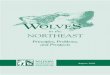 Wolves in the Northeast: Principles, Problems, and Prospects/media/PDFs/Wildlife/WolvesNortheast.pdf · By the mid 1980s wolves were well established in Minnesota and migrating naturally