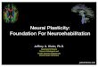 Neural Plasticity: Foundation For Neuroehabilitation · Foundation For Neuroehabilitation. A Century Of Medical Advances 1900 1922 Insulin 1928 Penicillin 1945 Inﬂuenza ... Immunology