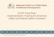 CCDF Final Rule: Implementation Training for American ... · CCDF final rule readiness level, according to their current work and services provided, and then define goals and action