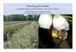 sustainable pollination on your farm - Sustainable Farming on the … · 2019-12-19 · Non-native plants have traditionally been used to provide beneficial insects with nectar, pollen,