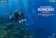 Al Hornsby Productions...Komodo, was one of those unique, exotic dive trips that leads your imagination to run wild; what wasn't expected, however, was that even the most-fervent imagination