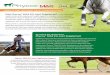 Why Phycox MAX EQ Joint Supplement Why Phycox® MAX EQ Joint Supplement: Performance and mature horses often require joint health support to maintain mobility and peak performance
