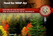 Need for MRP Act...2018/10/01  · came into effect in two stages to allow FNs time to develop their own MRP Law o Dec 16, 2013 - Dec 16,2014: timeframe for FNs to develop a law o