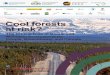 Cool forests at risk? - IBFRA18Schiller University Jena (FSU), Germany Eugene Vaganov Siberian Federal University, Russia Student Volunteers (IFSA/BOKU) Alice Cosatti International