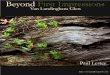 Beyond First Impressions · Beyond First Impressions The purpose of this challenge was to conceive, shoot, assemble, and present a complete photography book in one month, or a flexible