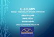 Blockchain: Riding a rollercoaster towards a standardRIDING A ROLLERCOASTER TOWARDS A STANDARD ADRIAN MCCULLAGH ODMOB LAWYERS MOB: 0401 646 486 AMCCULLAGH@ODMOBLAWYERS.COM DISCLAIMER