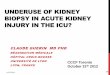UNDERUSE OF KIDNEY BIOPSY IN ACUTE KIDNEY INJURY IN THE …€¦ · •Mortality in ICU-AKI high •No intervention with proven benefits •Sepsis first cause •ATN hallmark •KB