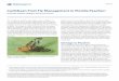 Caribbean Fruit Fly Management in Florida Peaches · 2019-04-19 · fruit fly damage as the range and abundance of fruit flies is reduced during the winter. If harvest is extended