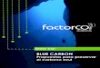 BLUE CARBON - Factor CO2 Factor CO2... · posteriormente, el ciclo del carbono en los océanos es complejo y está sujeto a múltiples incertidumbres y variables. Una solución que