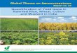 Quantiﬁ cation of Yield Gaps in Rain-fed Rice, Wheat, Cotton ...International Crops Research Institute for the Semi-Arid Tropics Patancheru 502 324, Andhra Pradesh, India Quantiﬁ