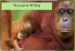 Persuasive Writing - ivervillage-jun.bucks.sch.uk · Below is an example of a brainstorm about Orangutans. TASK TIME! HARD: Use the ‘HARD’ planning sheet to brainstorm key facts