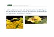 Attractiveness of Agricultural Crops to Pollinating …...2015/01/06  · whether crop requires bee pollination and if so, whether managed pollinators are used. ..... 9 Table 2. Additional