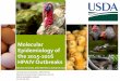 Molecular Epidemiology of HPAIV Outbreaks€¦ · Hungary, Italy, UK, Sweden, Romania H5N8 2014 Russia, H5N1 2014 Canada H5N2 2014-2015 H5 icA, H5N2 US 2015 H5Nx, China, Chinese Taipei