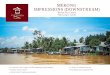 MEKONG IMPRESSIONS (DOWNSTREAM)€¦ · IMPRESSIONS (DOWNSTREAM) Long by road. Meet us at the pier in front of Cuu Long Hotel in ITINERARY Be picked up at your hotel at 9:00 am and