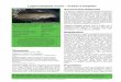 Lagenodelphis hosei Fraser’s Dolphin · Recommended citation: Plön S, Relton C, Cockroft V. 2016. A conservation assessment of Lagenodelphis hosei. In Child MF, Roxburgh L, Do