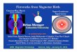 Fireworks from Magnetar Birth - Purdue Universitylyutikov/workshop16/talks/... · 2016-05-28 · Fireworks from Magnetar Birth In Collaboration with GRB Magnetar Thinkshop Bormio,