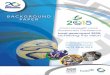 3839 background paper D2 - Home - CLGF · 2016-05-31 · implementation, including in The Road to Dignity by 2030: Ending Poverty, Transforming All Lives and Protecting the Planet,