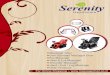 Serenity catalogue.pdf · Separate head massager (optional); 10.Removable power box for easy checking and maintenance. Massage Chair Healthcare Serenity. Coin Operated Massage Chair