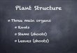 Plant Structure - AP BIOLOGY WITH MRS. HAAS€¦ · Plant Structure Three main organs: Roots Stems (shoots) Leaves (shoots) Roots Fibrous Mat of thin roots Tap One long, vertical