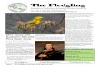 The Fledgling - Southern Adirondack Audubon SocietyPage 3 -The Fledgling, December 2016-February 2017 SAAS Winter Programs Continued from page 1 The program will be held in the Christine
