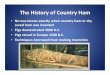 History of Country Ham - University of Kentuckyadair.ca.uky.edu/files/hsitory_of_countrh_hams.pdf · 2020-03-24 · Title: Microsoft PowerPoint - History of Country Ham Author: Tony