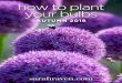 how to plant your bulbs - d2bvpivebkb899.cloudfront.net€¦ · Autumn bulbs A-Z Individual bulb planting instructions Allium Height: 30-120cm (12-47in) Planting site Full sun in