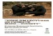 Kyoto conference Abstract booklet FINAL · Cognitive development in chimpanzees assessed by object manipulation Primates including humans share the manual skill for sophisticated