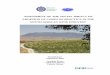 ASSESSMENT OF THE SOCIAL IMPACT OF …ASSESSMENT OF THE SOCIAL IMPACT OF ADOPTION OF CODES OF PRACTICE IN THE SOUTH AFRICAN WINE INDUSTRY Final Report …