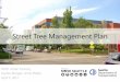 Street Tree Management Plan - Seattle...Street Tree Management Plan. SDOT Urban Forestry. Darren Morgan, Anne Pfeifer. April 3, 2017