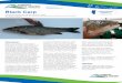 Black Carp ALBERTA REGULATION: FISHERIES ACT · Black carp generally grow more than 1.5 m long and weigh 15 kg, but can weigh up to 70 kg. Some individuals can live 15 years or more.4