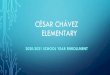 CÉSAR CHÁVEZ ELEMENTARY · ACTIVATION KEY •The Person Guide number you were given is your Activation Key •Make sure you spell this correctly •Click Submit •El número de