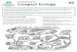 Factsheet Series #8 Compost Ecology€¦ · Compost Ecology #8 Composting is a biochemical process, meaning that decomposition takes place as a result of biological life break-ing