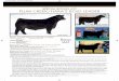 SPECIAL BONUS LOT PLUM CREEK/HARA’S BOLD LEADER · 2018-03-12 · - Recent shows have demonstrated the power of this unique Angus line with multiple champions being sired by Paradox,