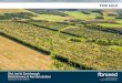 FOR SALE · 2020-07-03 · Lot 2 (coloured blue on sale plan) – 74.75 hectares (184.70 acres) The land at Shielsknowe and Northrickelton rises from 240 to 280 metres above sea level