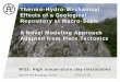 Thermo-Hydro-Mechanical Effects of a Geological Repository at … · 2017-09-26 · Principles • Same principles as Geodynamics code: Finite Differences with staggered grid and