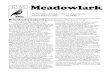 Meadowlark€¦ · The Newsletter of Genesee Valley Audubon Society January-February 2016 Vol. 43, No. 3 President’s Column by June Summers, President of GVAS The Centennial of