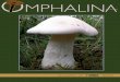 OMPHALIN V - MykoWeb: Mushrooms, Fungi, Mycologyamanitas, one is edible, but unless you are a very ex-perienced identiﬁ er, do not try eating any Amanita!!! For that matter, do not