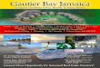 Gautier Bay, Gautier Bay Jamaica Gorgeous Caribbean Views, Sunsets, & Balmy Breezes Condos * Villas