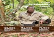 99,000 84,000 73,600 - barry-callebaut.com · leading cocoa and chocolate companies committed to rejuvenating the cocoa sector. It outlines a set of actions to provide cocoa farmers