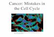 Cancer: Mistakes in the Cell Cyclegiarroccowandobiology.weebly.com/uploads/8/2/9/6/82966406/unit_… · Checkpoint control system • Checkpoints – cell cycle controlled by STOP