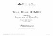 Idaho Health Insurance - True Blue (HMO)...True Blue (HMO) 2013 Summary of Benefits True Blue (HMO) Rx Option ITrue Blue (HMO) Rx Option IITrue Blue (HMO) Serving Select Counties in