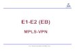 EE11--E2 (EB)E2 (EB)training.bsnl.co.in/DIGITAL_LIBRARY_SOURCE/upgradation/E1-E2/E1-… · Traffic Engineering with MPLS MPLS Architecture MPLS Labels Label Switch Routers For internal