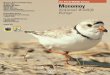 U.S. Fish & Wildlife Service Monomoy National Wildlife ... · coastal birds. By the early 1990s the refuge’s resident populations of great black-backed and herring gulls had skyrocketed