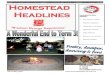 HOMESTEAD HEADLINES HOMESTEAD HEADLINES HOMESTEAD Library revamp During Term 3, the staff have engaged