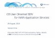 O3 User Oriented SDN for WAN Application Servicesnv/nvs2015/nvs2015-5-kiriha.pdf · The 5th Int. Symposium on Network Virtualization @ Tokyo Topology tool OAM functions for OpenFlow