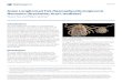 Asian Longhorned Tick Haemaphysalis longicornis Neumann ... · Islands (New Caledonia, Fiji, Western Samoa, Tonga, and Vanutu) (Heath et al. 2011). In August 2017, a tick from an