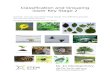STEM - Activity: Can you put these living things into … · Web viewClassification and Grouping lower Key Stage 2 Activity: Can you put these living things into different groups?